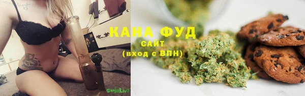 молекула духа Алзамай