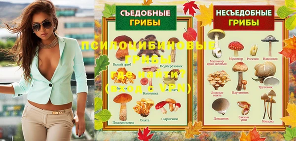 молекула духа Алзамай